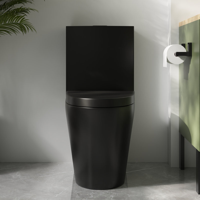 Toilette allongée moderne monobloc Ace 1,6 GPF, Noir mat, 12"
