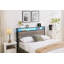 Althea Upholstered Bed-2028607676-2028607677