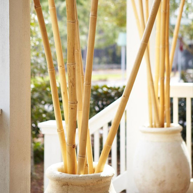 1 in. x 8 ft. Natural Bamboo Poles (25-Pack/Bundled)