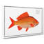 Goldfish by M.E. Bloch - Wrapped Canvas-55316354