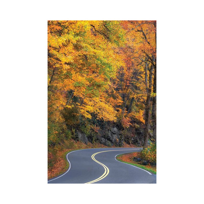 Curvy Road in the Smokies 1 Piece Wrapped Canvas Wall Art, 66.04 cm H x 45.72 cm W x 1.91 cm D