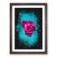 Fuscia Pink Dying Rose - Framed Print-56742786-56742787