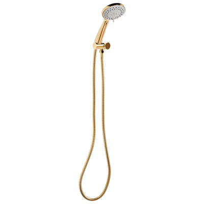 Shower Head and Hose Kit TAMUSHAL