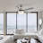52'' Ceiling Fan with LED Lights-1490695867