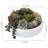 4.3'' Faux Succulent in Concrete Pot
