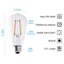 Ampoule à filament DEL ST19, équivalent à 60 watts, à intensité non variable, 5000K