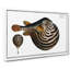 Striped Pufferfish by M.E. Bloch - Wrapped Canvas-55339198