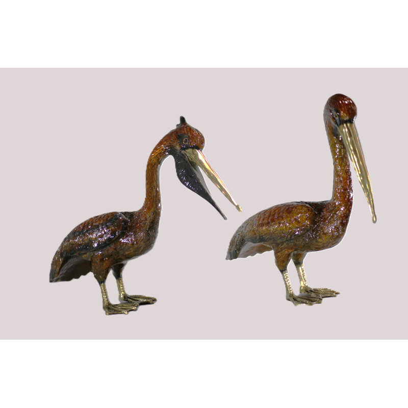 Pelican Edwin