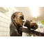 Statue de musicien buste de violon Nessa