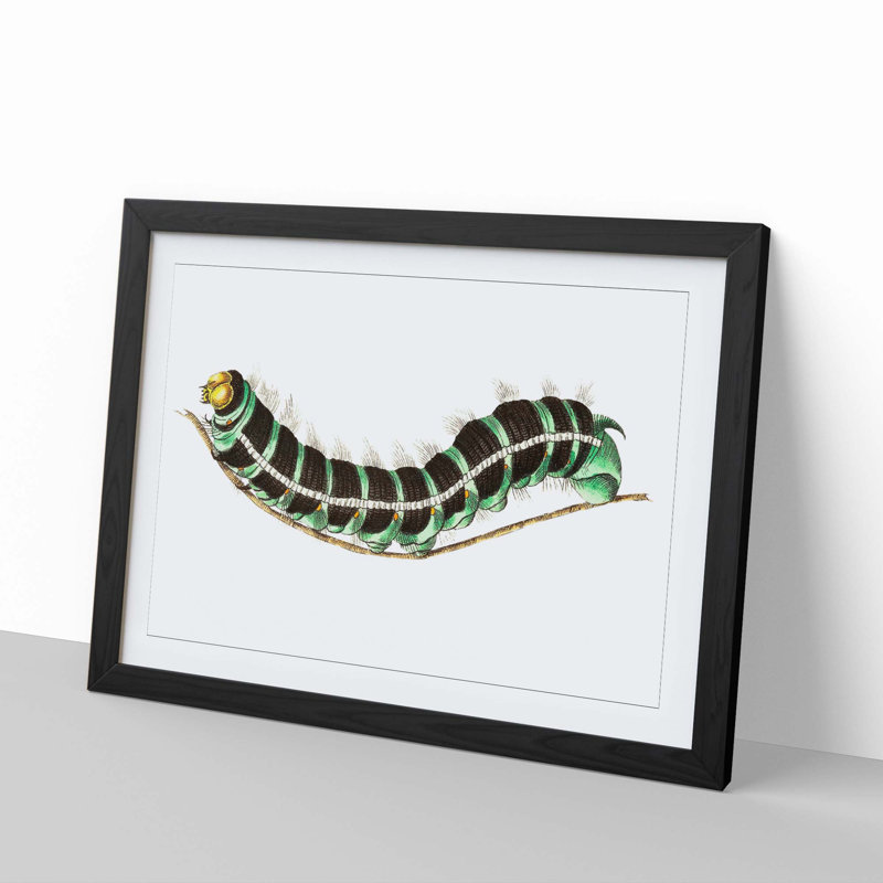 Illustration of a Green Caterpillar - Picture Frame Graphic Art Print, 27cm H x 36cm W x 2cm D, Black Framed