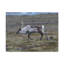 No Frame Print on Canvas-746242617