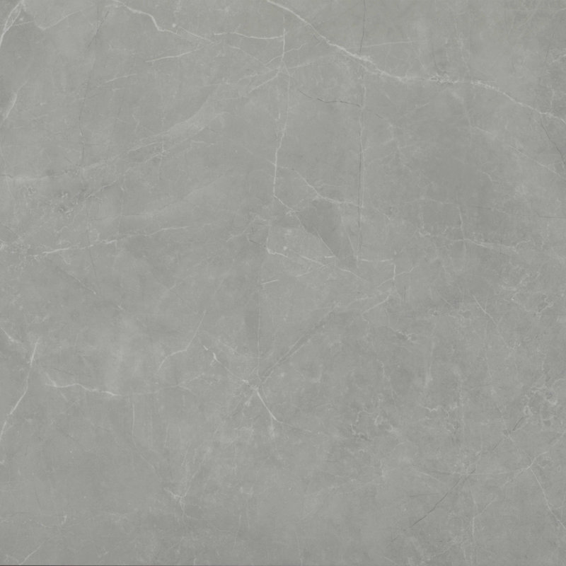 Sterlina II Asphalt 24 in. x 24 in. Matte Porcelain Floor and Wall Tile (15.5 sq. ft./Case), Gray