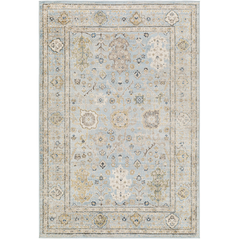 Pertek Chiara Traditional Gray Area Rug, Rectangle 2' x 2'11"