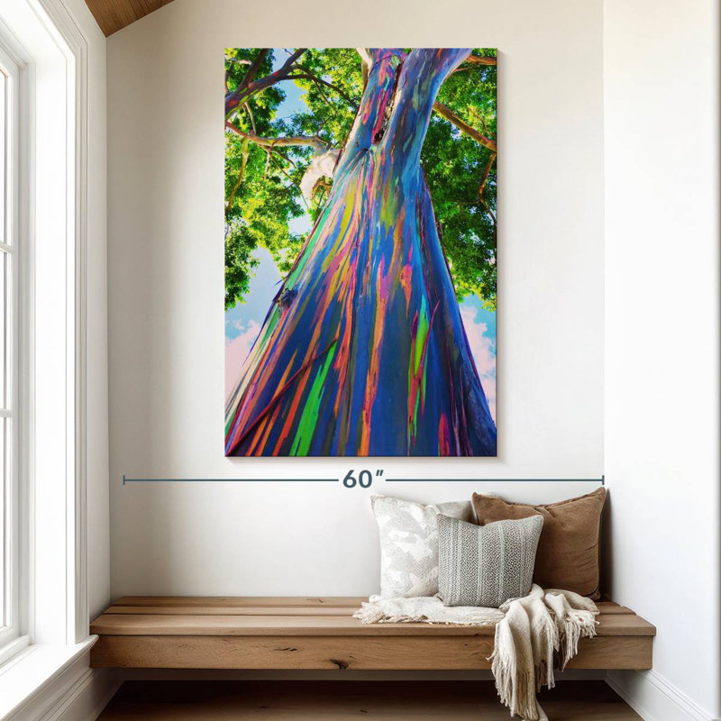 Harnek Hawaiian Rainbow Eucalyptus Tree, 51" H x 34" W
