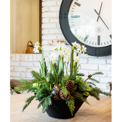 Amaryllis Centerpiece Vase