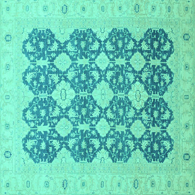 Washable Oriental Indoor Rug