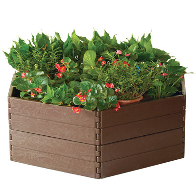 Pacome Raised Garden Bed