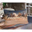 Ensemble de draps et taies décoratives pour cheval Ambesonne, brun sable et brun-106797426