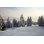 Addalyne " Winter Landscape " by Gudella