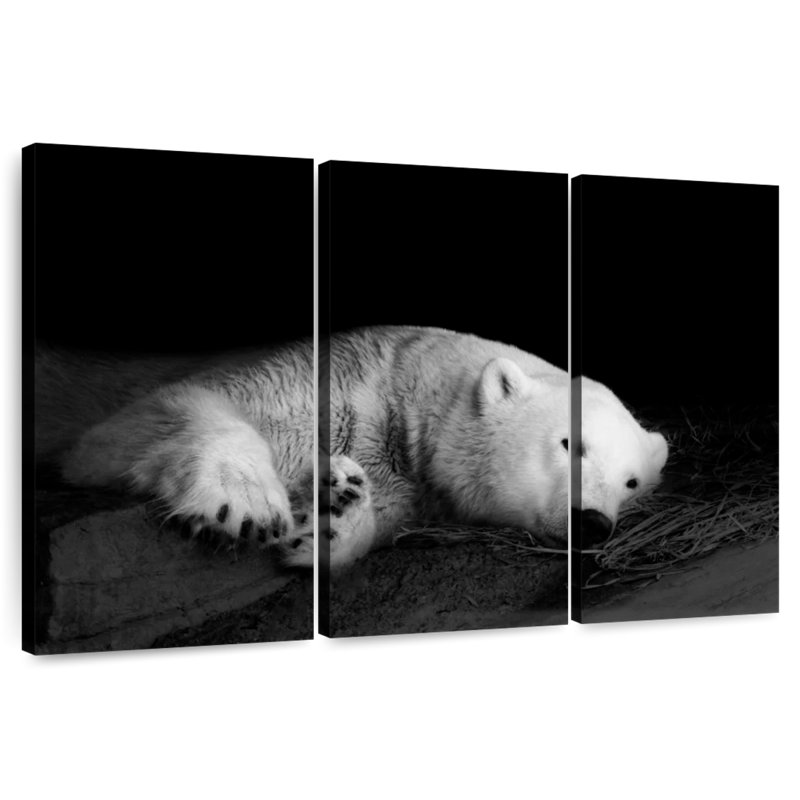 Sleepy Polar Bear, 24" H x 38" W