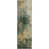 Fern
