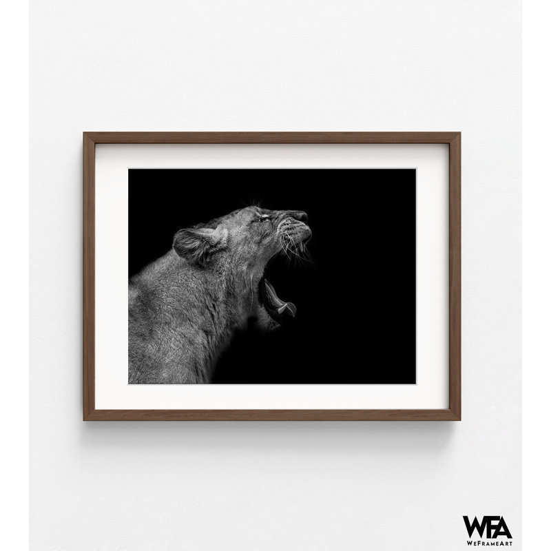 «Lionne In Low Key» par Nauzet Baez, H 8 po x l 10 po, Reproduction encadrée avec passe-partout blanc, Brun