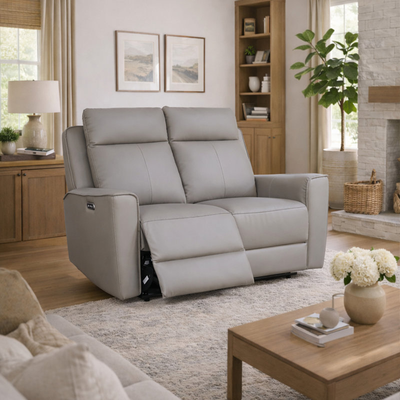 Sofa, Elephant, 2
