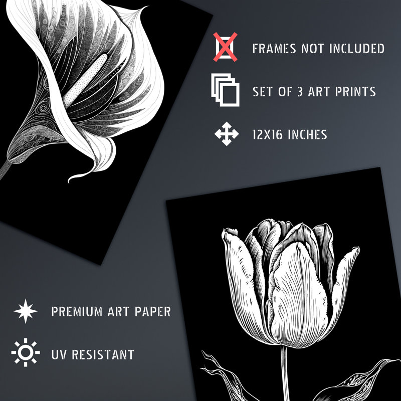 Elegant Single Tulip Anemone Calla Lily Flowers Black White - 3 Piece No Frame Print Set, 40.5cm H x 30.5cm W x 0.3cm D