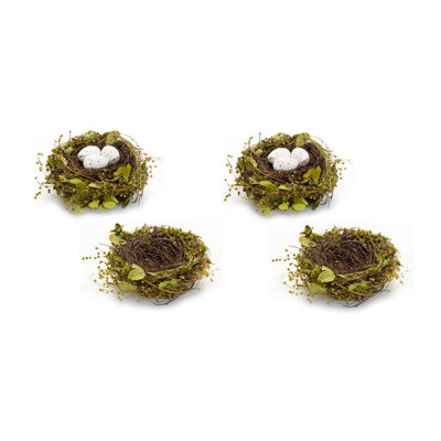 Mixed Bird Nests with Eggs