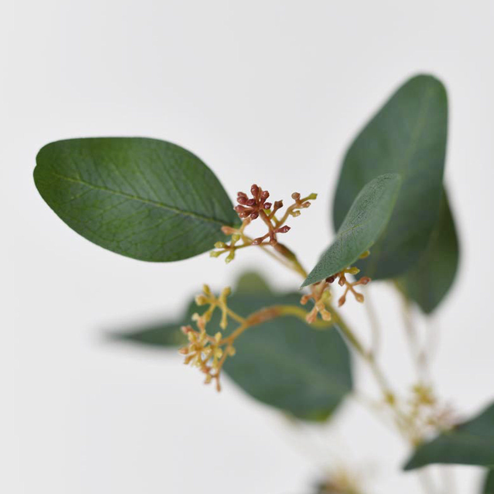 Audet 28" Eucalyptus Branch, Dark Green