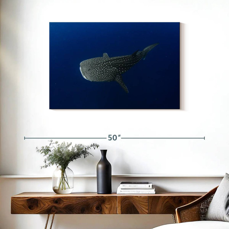 Brampt Whale Shark In Deep Blue Water, 24" H x 36" W