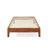 Amaryn Solid Wood Platform Bed-1342794875-1342794873