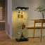 Glass Display Cabinet with Lighting-1500909243