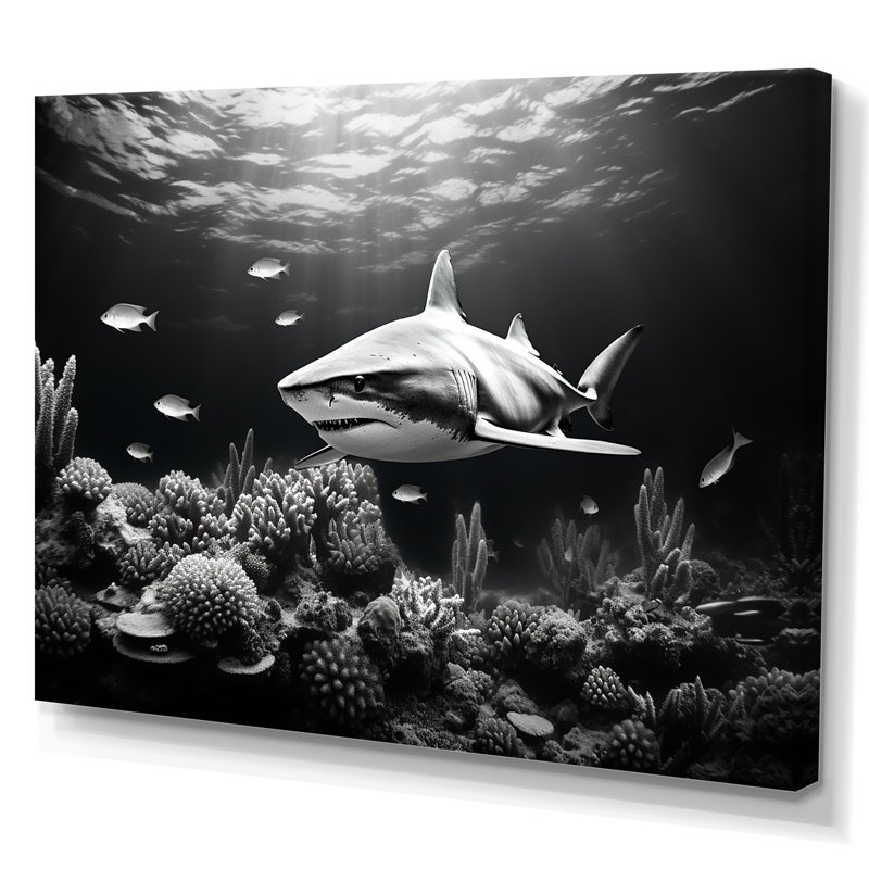 Requin noir et blanc glissant sur toile, H 24 po x l 32 po x P 1 po, Toile tendue
