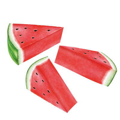 Centres de table melon d'eau 3D