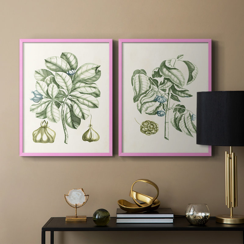 Reproduction encadrée de qualité supérieure Buchoz Tropicals IX - prête à être accrochée, Rose, H 21 po x l 34 po