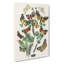 Caterpillars, Butterflies & Moths by W.F. Kirby - Wrapped Canvas-55312291
