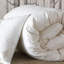 Loure Winter Microfiber Down Comforter-11939596