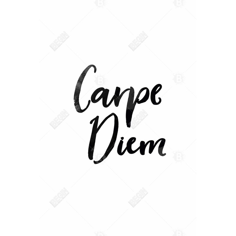 " Carpe Diem "