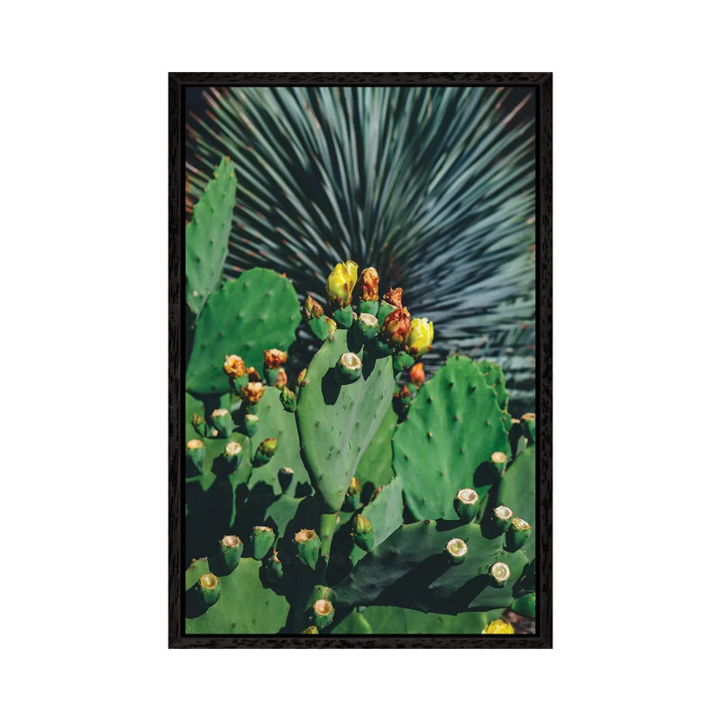 Wild Blooms by Bethany Young - Print on Canvas, 152.4cm H x 101.6cm W x 3.81cm D, Black Framed