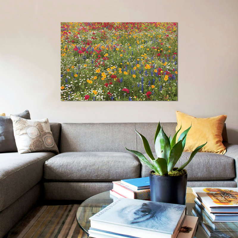 «Drummond's Phlo and Bluebonnet, Westhoff, Texas», reproduction de photo sur toile, H 18 po x l 26 po x P 1,5 po