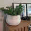Customer photo 3 of 4