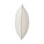 Housse et insert Goodall-591587556-591587579