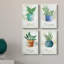 Basilic en pot - ensemble de 4 toiles tendues-234246333