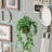 Becontree Elegant Decorative Metal Pot, Gold Finish, 13.8 x 15.7 x 6.7 inches | 100% Metal Construction, 1.3 lbs Weight | Includes Hanging Apparatus, Max 11 lbs Capacity | Perfect for Home Decor & Plant Display-114228060