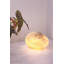 Brason Glass Novelty Lamp