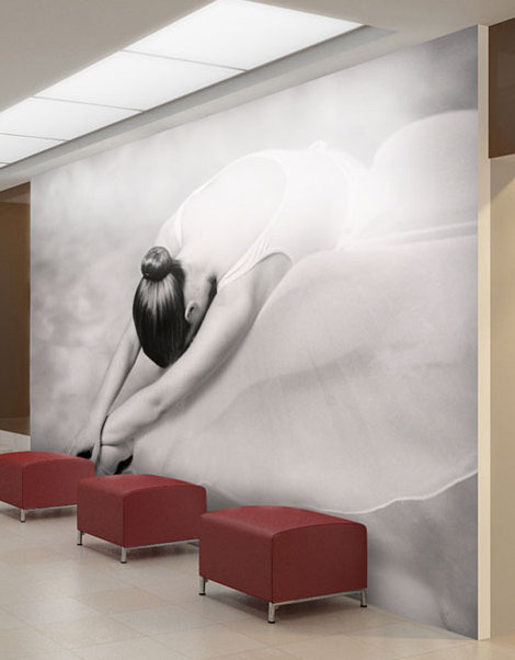 Ballet Dancer 270cm x 350cm Wallpaper, 231cm L x 300cm W