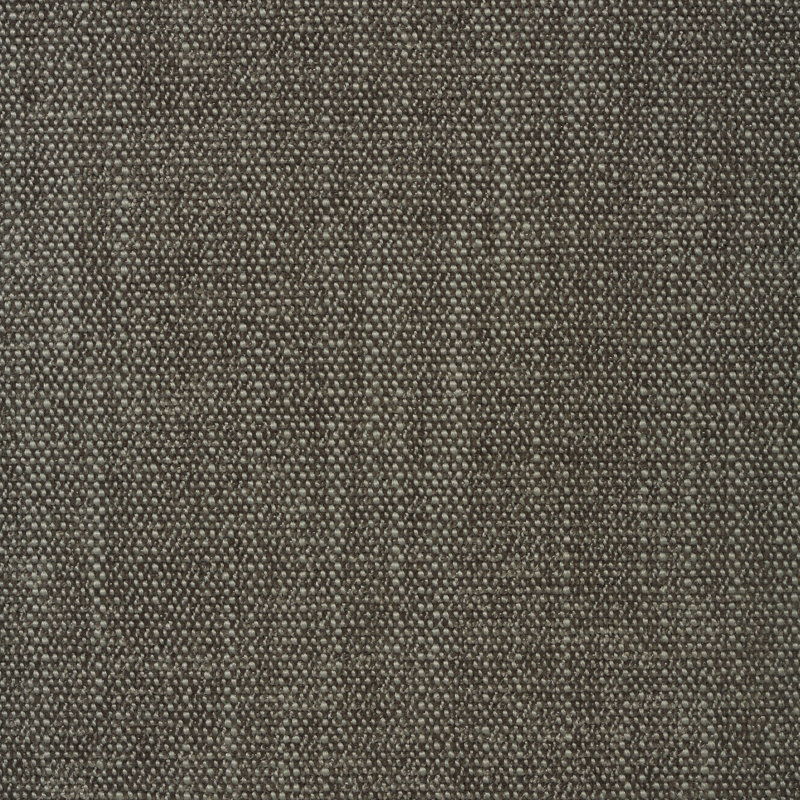 Performance Crypton Home Fabric, Light Brown