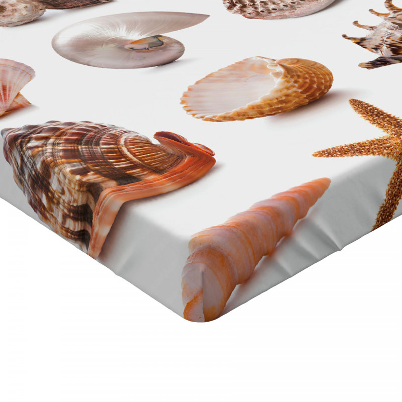 Drap-housse coquillage, Drap-housse grand