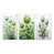 Toile tendue
